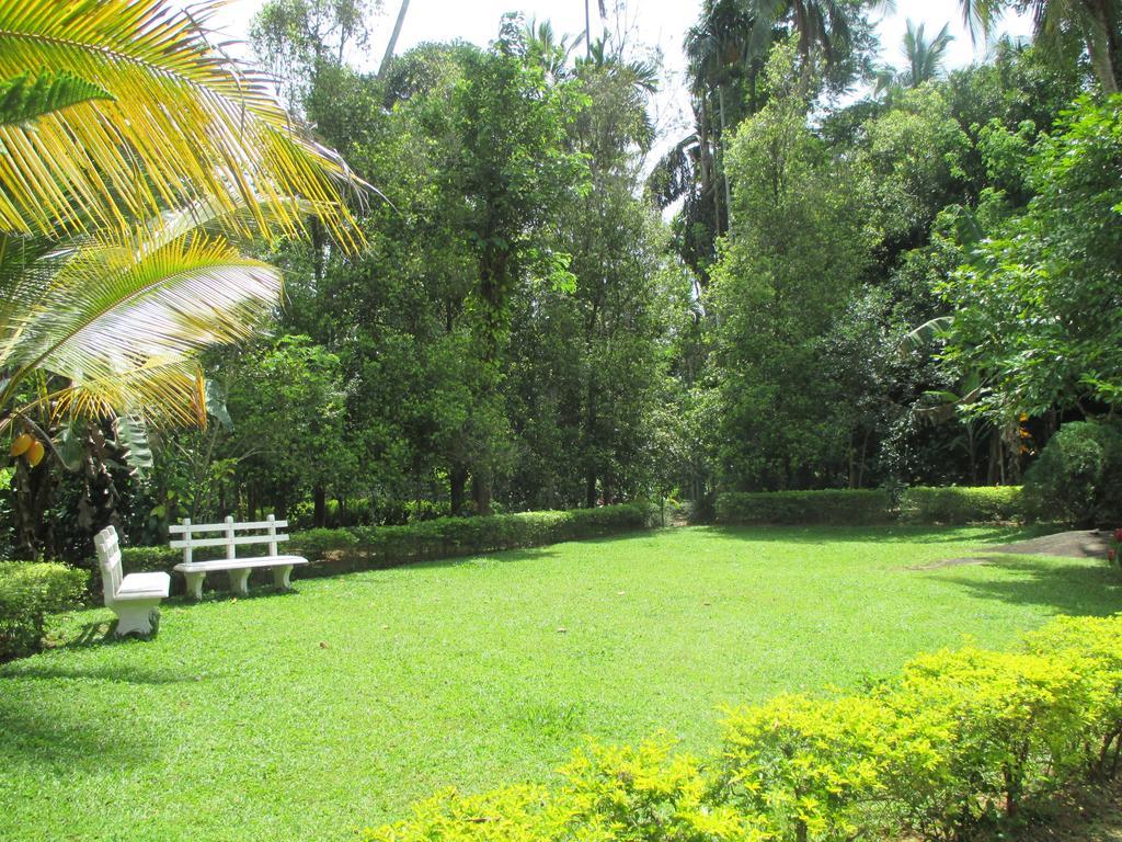 Alfred Colonial Bungalow&Spice Garden Kobbekaduwa Zimmer foto